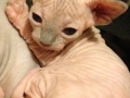 bernadette-2-weeks