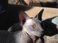 leroy-1-22-14-large